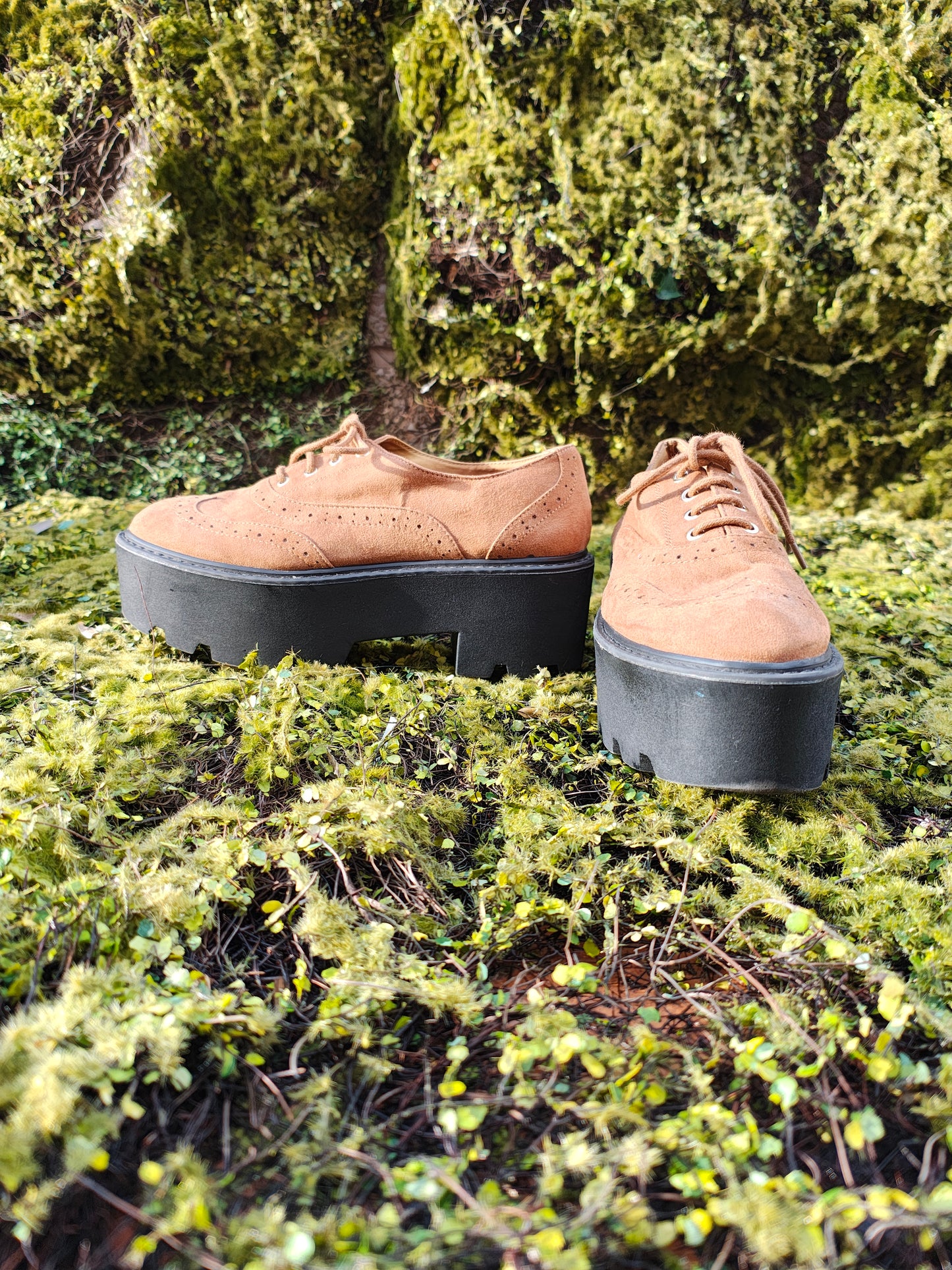 USADO – Zapatos Oxford tipo brogue camel con plataforma Pull&Bear (Talla EUR 39)
