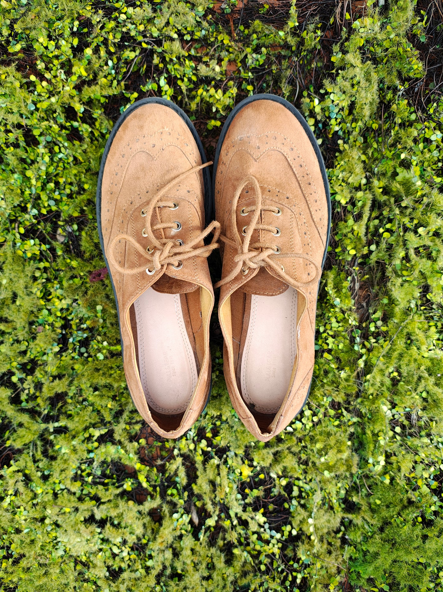 USADO – Zapatos Oxford tipo brogue camel con plataforma Pull&Bear (Talla EUR 39)