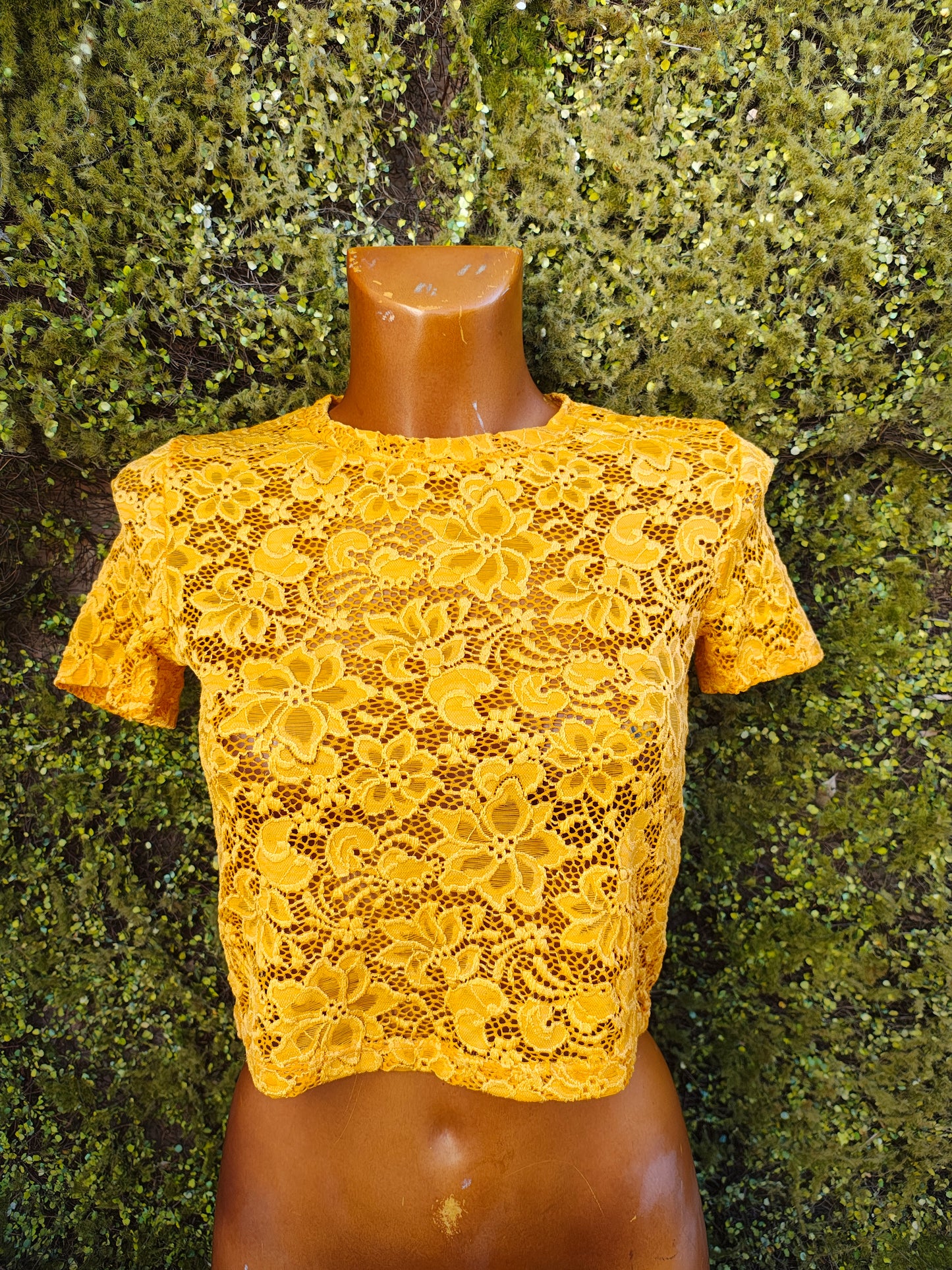 USADO - Top corto de encaje amarillo Zara Trafaluc (Talla S)