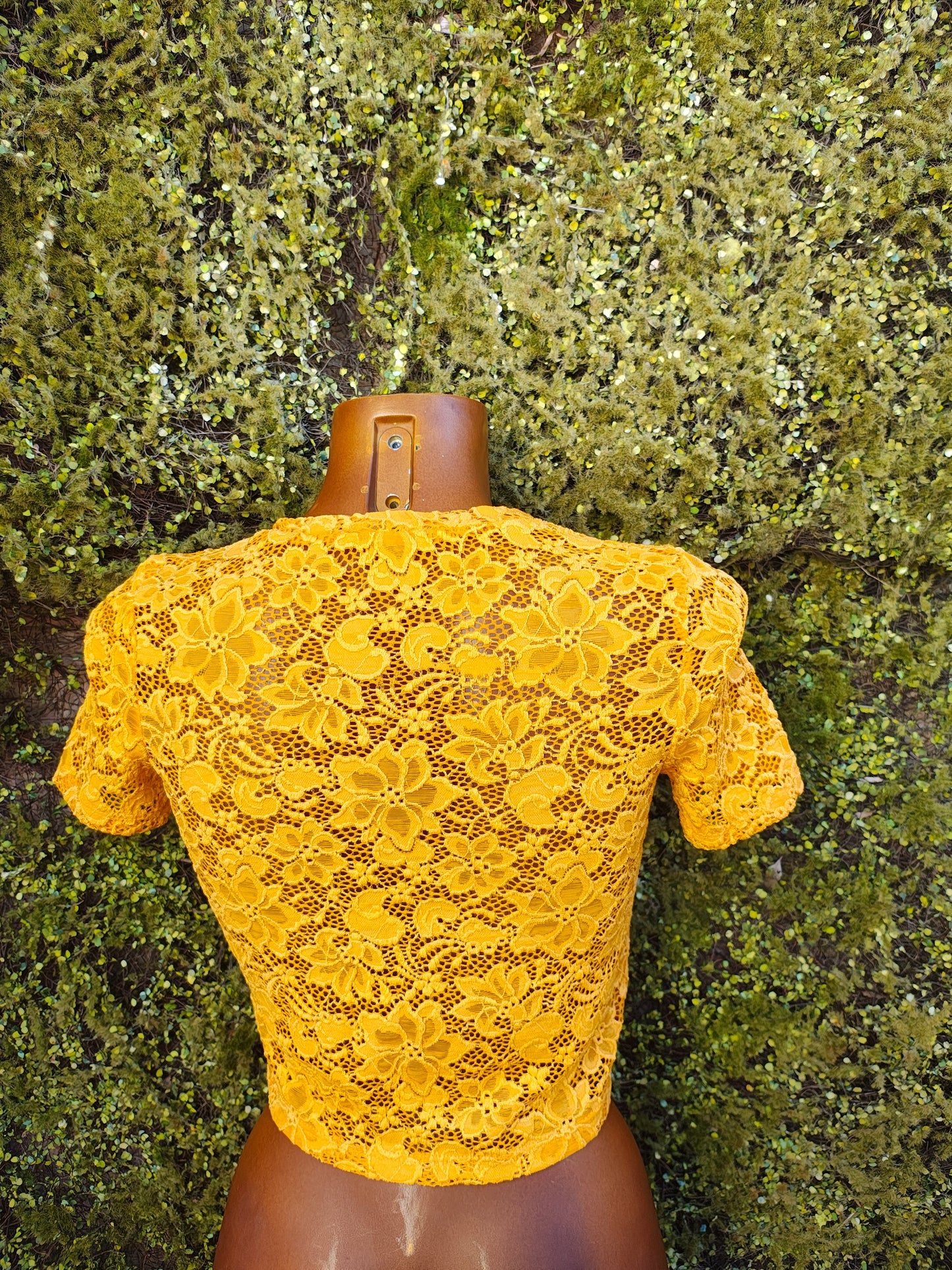 USADO - Top corto de encaje amarillo Zara Trafaluc (Talla S)